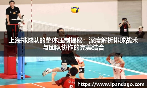 上海排球队的整体压制揭秘：深度解析排球战术与团队协作的完美结合